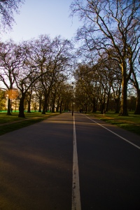 Hyde Park at sunset